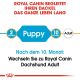 ROYAL CANIN Dackel Trockenfutter Welpen 1,5 Kg