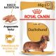 ROYAL CANIN Dackel Nassfutter Adult 12x85 g