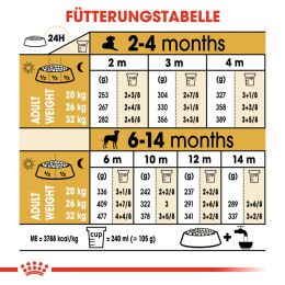 ROYAL CANIN Dalmatiner Trockenfutter Welpen 12 Kg