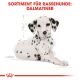 ROYAL CANIN Dalmatiner Trockenfutter Welpen 12 Kg