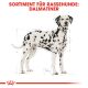 ROYAL CANIN Dalmatiner Trockenfutter Adult 12 Kg