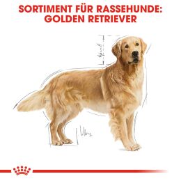 ROYAL CANIN Deutsche Doggen Trockenfutter Adult 12 Kg