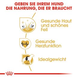 ROYAL CANIN Deutsche Doggen Trockenfutter Adult 12 Kg