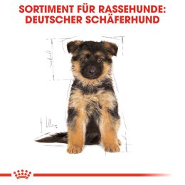 ROYAL CANIN Deutsche Sch&auml;ferhunde Trockenfutter Welpen 12 Kg