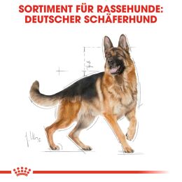 ROYAL CANIN Deutsche Sch&auml;ferhunde Trockenfutter Adult 11 Kg