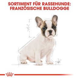 ROYAL CANIN Franz&ouml;sische Bulldoggen Trockenfutter Welpen