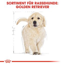 ROYAL CANIN Golden Retriever Trockenfutter Welpen