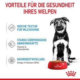 ROYAL CANIN Gro&szlig;e Hunde Nassfutter Maxi Welpen bis zum 15. Monat 10x140 g