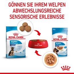 ROYAL CANIN Gro&szlig;e Hunde Nassfutter Maxi Welpen bis zum 15. Monat 10x140 g