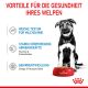 ROYAL CANIN Große Hunde Nassfutter Maxi Welpen bis zum 15. Monat 10x140 g