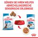 ROYAL CANIN Große Hunde Nassfutter Maxi Welpen bis zum 15. Monat 10x140 g