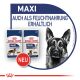 ROYAL CANIN Große Hunde Nassfutter Maxi Adult 10x140 g