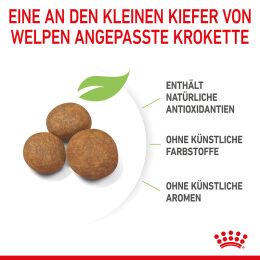 ROYAL CANIN Gro&szlig;e Hunde Trockenfutter Maxi Welpen 15 Kg