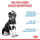ROYAL CANIN Große Hunde Trockenfutter Maxi Welpen 15 Kg