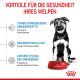 ROYAL CANIN Große Hunde Trockenfutter Maxi Welpen 15 Kg