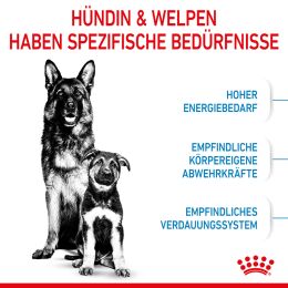 ROYAL CANIN Gro&szlig;e Hunde Trockenfutter f&uuml;r tragende H&uuml;ndin und Welpen 15 Kg