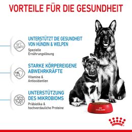 ROYAL CANIN Gro&szlig;e Hunde Trockenfutter f&uuml;r tragende H&uuml;ndin und Welpen 15 Kg