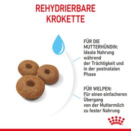 ROYAL CANIN Gro&szlig;e Hunde Trockenfutter f&uuml;r tragende H&uuml;ndin und Welpen 15 Kg