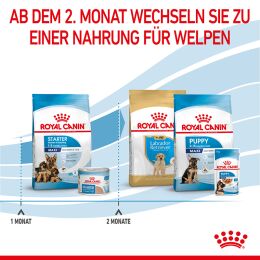 ROYAL CANIN Gro&szlig;e Hunde Trockenfutter f&uuml;r tragende H&uuml;ndin und Welpen 15 Kg