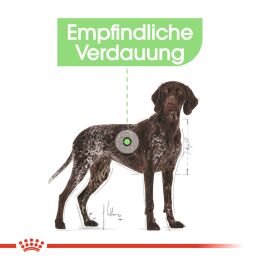 ROYAL CANIN Gro&szlig;e Hunde Trockenfutter Digestive Care Maxi f&uuml;r empfindliche Verdauung 12 Kg