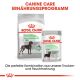 ROYAL CANIN Große Hunde Trockenfutter Digestive Care Maxi für empfindliche Verdauung 12 Kg