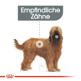 ROYAL CANIN Gro&szlig;e Hunde Trockenfutter Dental Care Maxi f&uuml;r empfindliche Z&auml;hne 9 Kg