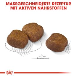 ROYAL CANIN Gro&szlig;e Hunde Trockenfutter Dental Care Maxi f&uuml;r empfindliche Z&auml;hne 9 Kg