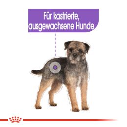 ROYAL CANIN Kastrierte Hunde Nassfutter Sterilised 12x85 g