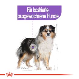 ROYAL CANIN Kastrierte Mittelgro&szlig;e Hunde Trockenfutter Sterilised Medium