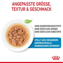 ROYAL CANIN Kleine Hunde Nassfutter Welpen bis zum 10. Monat 12x85 g