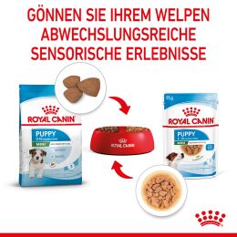 ROYAL CANIN Kleine Hunde Nassfutter Welpen bis zum 10. Monat 12x85 g