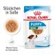 ROYAL CANIN Kleine Hunde Nassfutter Welpen bis zum 10. Monat 12x85 g