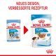 ROYAL CANIN Kleine Hunde Nassfutter Welpen bis zum 10. Monat 12x85 g