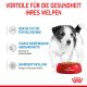 ROYAL CANIN Kleine Hunde Nassfutter Welpen bis zum 10. Monat 12x85 g