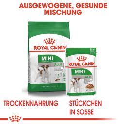 ROYAL CANIN Kleine Hunde Nassfutter Mini Adult 12x85 g