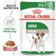 ROYAL CANIN Kleine Hunde Nassfutter Mini Adult 12x85 g