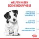 ROYAL CANIN Kleine Hunde Trockenfutter Mini Welpen