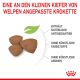 ROYAL CANIN Kleine Hunde Trockenfutter Mini Welpen