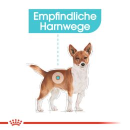 ROYAL CANIN Kleine Hunde Trockenfutter Urinary Care f&uuml;r empfindliche Harnwege 3 Kg