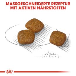 ROYAL CANIN Kleine Hunde Trockenfutter Urinary Care f&uuml;r empfindliche Harnwege 3 Kg