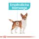 ROYAL CANIN Kleine Hunde Trockenfutter Urinary Care für empfindliche Harnwege 3 Kg