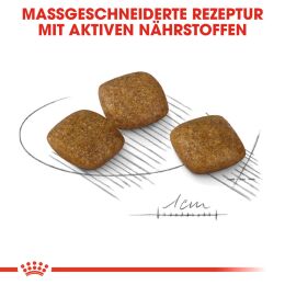 ROYAL CANIN Kleine Hunde Trockenfutter Relax Care Mini f&uuml;r Hunde in unruhigem Umfeld 3 Kg