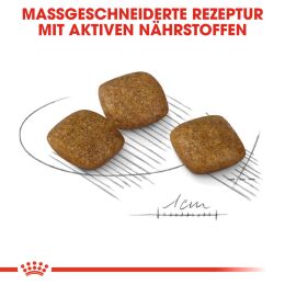 ROYAL CANIN Kleine Hunde Trockenfutter Relax Care Mini f&uuml;r Hunde in unruhigem Umfeld 3 Kg