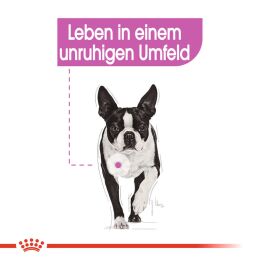 ROYAL CANIN Kleine Hunde Trockenfutter Relax Care Mini f&uuml;r Hunde in unruhigem Umfeld 3 Kg