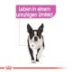 ROYAL CANIN Kleine Hunde Trockenfutter Relax Care Mini für Hunde in unruhigem Umfeld 3 Kg