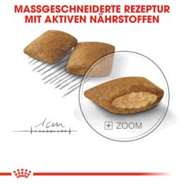 ROYAL CANIN Kleine Hunde Trockenfutter Exigent Mini f&uuml;r w&auml;hlerische Hunde 3 Kg