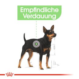 ROYAL CANIN Kleine Hunde Trockenfutter Digestive Care Mini f&uuml;r empfindliche Verdauung