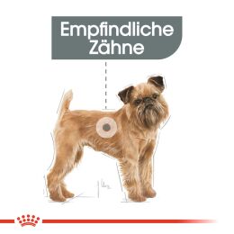ROYAL CANIN Kleine Hunde Trockenfutter Dental Care Mini f&uuml;r empfindliche Z&auml;hne 3 Kg