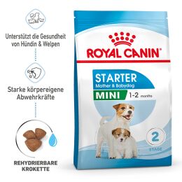 ROYAL CANIN Kleine Hunde Trockenfutter Mini Starter f&uuml;r tragende H&uuml;ndin und Welpen ab der 3. - 8. Woche 4 Kg