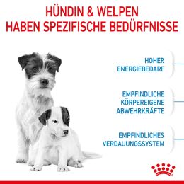 ROYAL CANIN Kleine Hunde Trockenfutter Mini Starter f&uuml;r tragende H&uuml;ndin und Welpen ab der 3. - 8. Woche 4 Kg